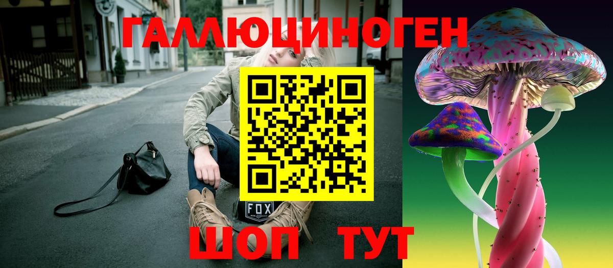 Псилоцибиновые грибы Magic Shrooms  купить  цена  Москва 