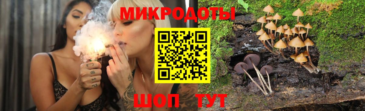 Галлюциногенные грибы Psilocybe Москва