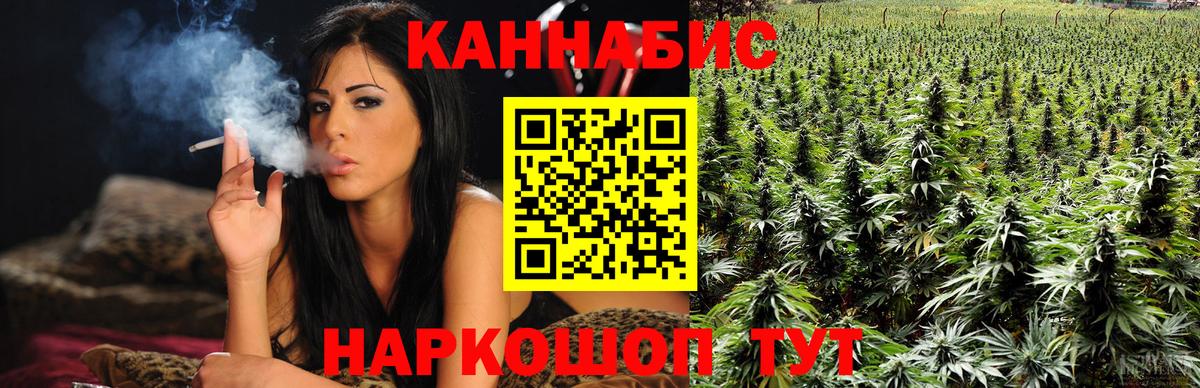 Каннабис MAZAR Москва